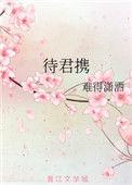 待君携讲的什么