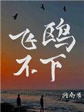 飞鸥不下攻守分别是谁