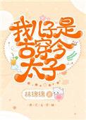 我儿子是古穿今太子番外百度