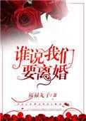谁说我们要离婚全文免费阅读