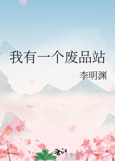 我有一座废品收购站