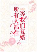 所有人都在等我们复婚番txt