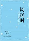 风起时歌曲