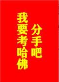 分手我要考哈佛txt