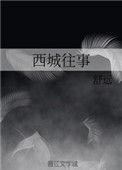 西城往事沈适陈迦南免费阅读