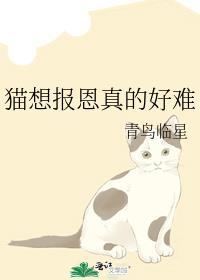 猫想报恩真的好难全文阅读