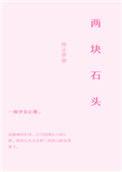 两块石头的故事的启发