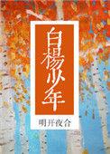 白杨少年明开夜和盘