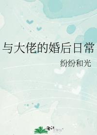 夜色温柔简介