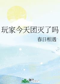 玩家今天团灭了吗txt