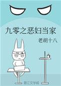 重生九零之恶妇当家
