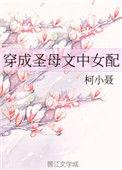 穿成圣母文中女配作者