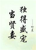 当贤妻独得盛宠无防盗