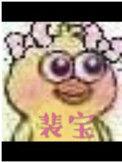 裴宝磊 淮阴工学院