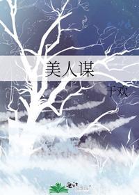 美人谋律电视剧