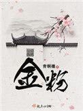 金粉全文无弹窗免费阅读