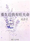 重生后我家夫人福气满满的