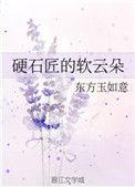 硬石匠的软云朵大结局