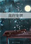 南府宠婢全文免费阅读