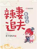 重生九零辣妻追夫叶青青
