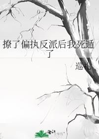 撩了偏执反派后我死遁了 巡礼