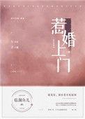 惹婚上门无防盗