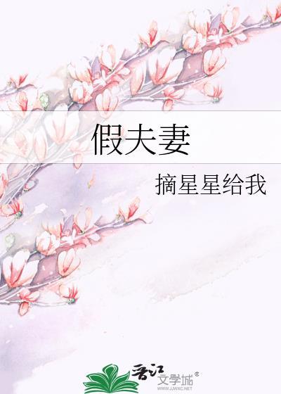 假夫妻动漫免费观看全集