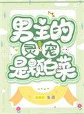 男主是灵宠的