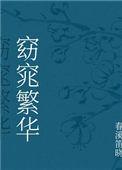 窕窈繁华