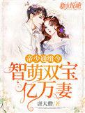 帝少通缉令萌宝亿万妻免费阅读
