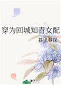 穿为回城知青女配宝书网
