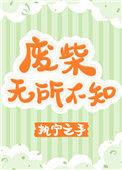 废柴无所不知txt宝书网