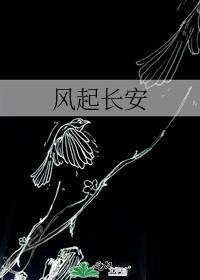 风起长安游戏攻略