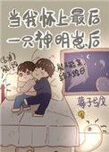 当我怀了最后一只神明崽后txt