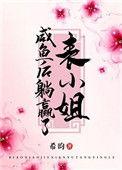 把表小姐撩过火类别历史架空作者 希昀