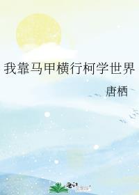 我靠马甲横行柯学世界 唐栖 百度
