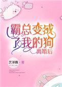 离婚后霸总天天想娶我全文免费阅读无弹窗