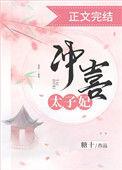 冲喜太子妃 作者糖十