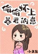 偷偷怀上暴君的崽格格