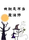 我就是不当魔法师晋江