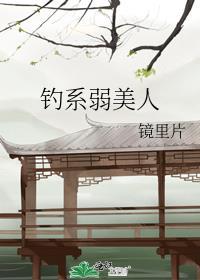 钓系弱美人by镜里片txt