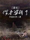 道长你老婆掉了简介