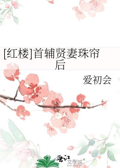 首辅夫人全文阅读