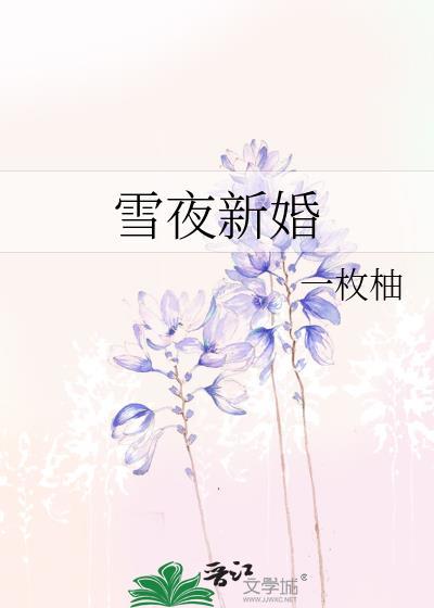 雪夜新婚免费