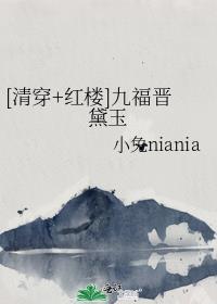 清穿九福晋大全