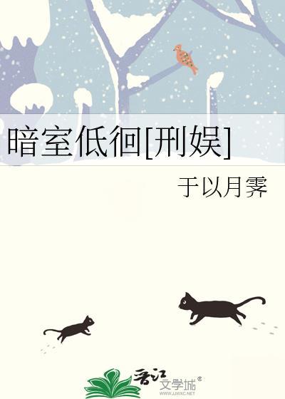 暗室之光免费阅读