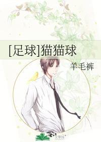 足球猫猫球TXT百度