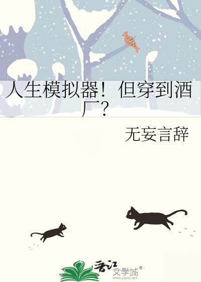 人生模拟器视频