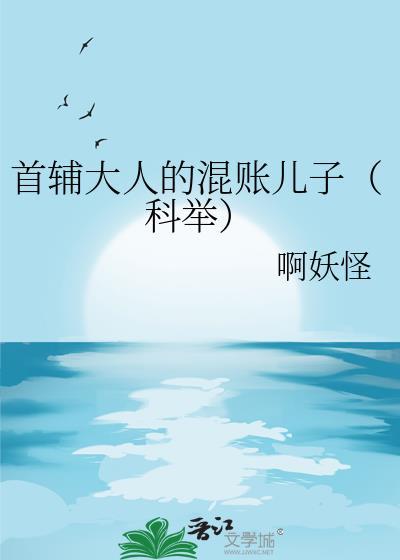 首辅大人是什么意思