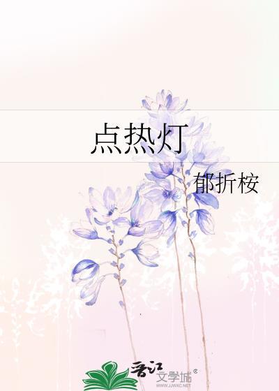 点热灯txt百度资源